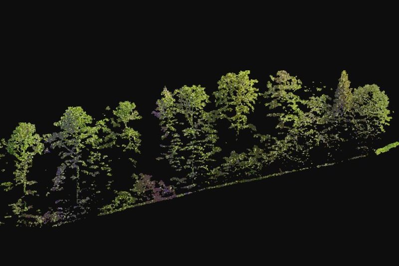 Lidaretto H32X point cloud profile of a forest stand scanned from a UAV